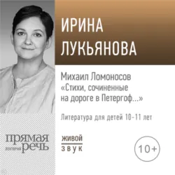 Экстремальное материнство. Счастливая жизнь с трудным ребенком, аудиокнига . ISDN26061544