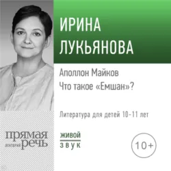 Экстремальное материнство. Счастливая жизнь с трудным ребенком, аудиокнига . ISDN26061544