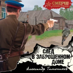 Закат команданте, аудиокнига Александра Тамоникова. ISDN68658077