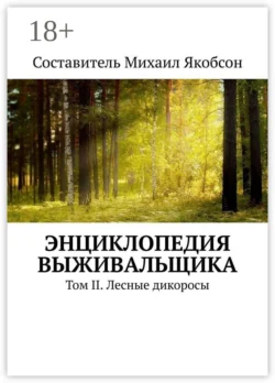 Meditation for Beginners. Tips and tricks, Алексея Сабадыря аудиокнига. ISDN71140261