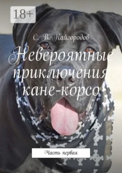 Одним знаком, аудиокнига Григория Сахарова. ISDN69551425