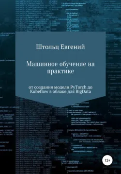 Машинное обучение на практике – от модели PyTorch до Kubeflow в облаке для BigData, аудиокнига Евгения Сергеевича Штольца. ISDN63455267