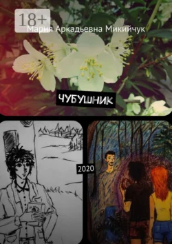 Конец сказки, аудиокнига Рашида Алиева. ISDN69569791