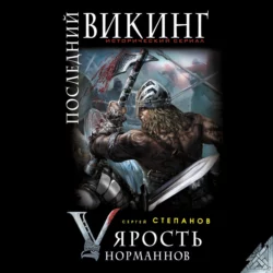 Последний викинг. «Ярость норманнов», аудиокнига . ISDN74058707