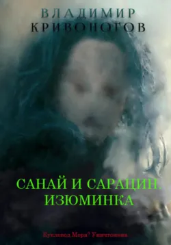 Санай и Сарацин, аудиокнига . ISDN73543286