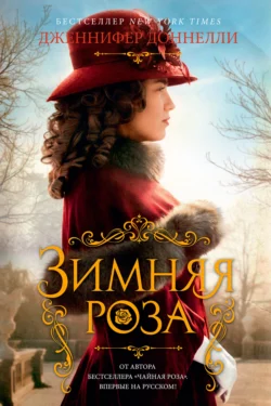 Сестрица, аудиокнига Дженнифер Доннелли. ISDN51643727