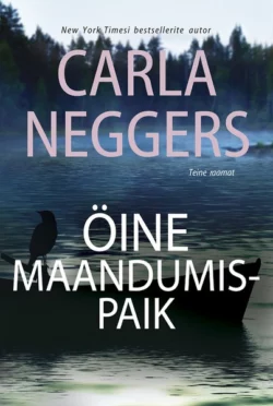 Cold Ridge, Carla  Neggers аудиокнига. ISDN39883328