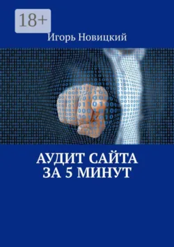 Аудит сайта за 5 минут - Игорь Новицкий
