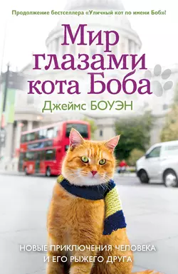 Мир глазами кота Боба. Новые приключения человека и его рыжего друга, аудиокнига Джеймса Боуэна. ISDN6377907
