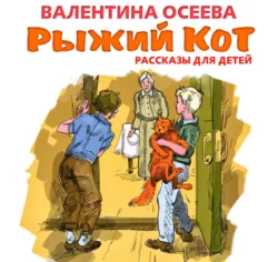 Почему?, аудиокнига Валентины Осеевой. ISDN4970814