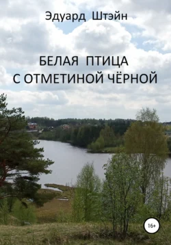 Парадоксы жизни, аудиокнига Эдуарда Штэйна. ISDN70303783