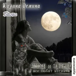 Ведьмина ночь, аудиокнига . ISDN71456641