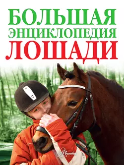 Лошади. Большая энциклопедия Коллектив авторов
