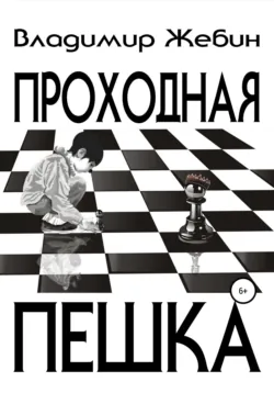 Проходная пешка - Владимир Жебин