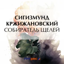 Собиратель щелей - Сигизмунд Кржижановский