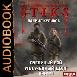 S-T-I-K-S. Пчелиный Рой, аудиокнига Даниила Куликова. ISDN65264931