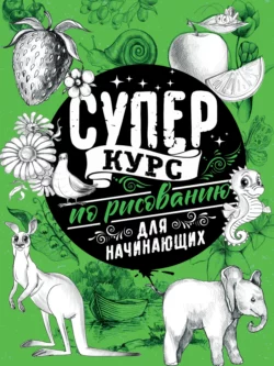 Суперкурс по рисованию для начинающих, Мистер Грей