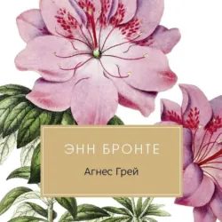 Агнес Грей - Энн Бронте