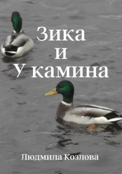 Ёжик. Новеллы, аудиокнига . ISDN71141719