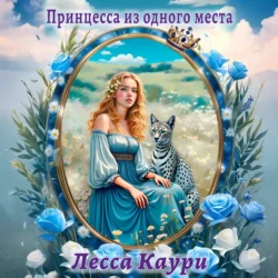 Бригада Д. Сезон 1: Черный человек, аудиокнига Лессы Каури. ISDN72249511