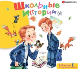 Школьные истории - Любовь Воронкова Школьные истории - Любовь Воронкова