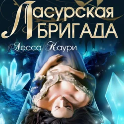 Бригада Д. Сезон 1: Черный человек, аудиокнига Лессы Каури. ISDN72249511