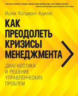 Идеальный руководитель. Почему им нельзя стать и что из этого следует, аудиокнига . ISDN6370794