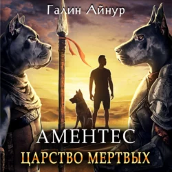 Зеркала реальности. Группа «Пион». Книга первая, аудиокнига Айнура Галина. ISDN71636446