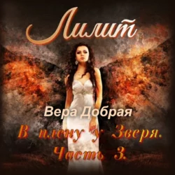 Хозяин моего сердца, аудиокнига Веры Доброй. ISDN63689966