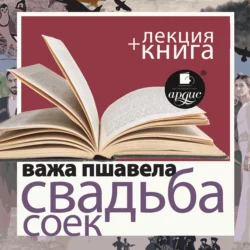 Свадьба соек в исполнении Дмитрия Быкова + Лекция Быкова Д. - Дмитрий Быков
