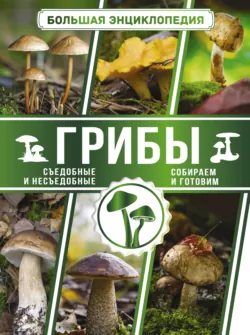 Большая энциклопедия. Грибы. Съедобные и несъедобные. Собираем и готовим., А. Поленов Большая энциклопедия. Грибы. Съедобные и несъедобные. Собираем и готовим., А. Поленов