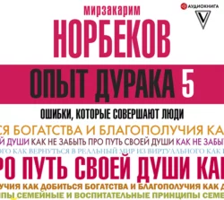 Опыт дурака, или Ключ к прозрению, аудиокнига Мирзакарима Норбекова. ISDN173702