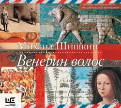 В лодке, нацарапанной на стене, аудиокнига Михаила Шишкина. ISDN68023003