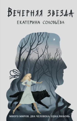 Нижний город. Город – дом наш, а законы – стены его, аудиокнига Екатерины Вадимовны Соловьевой. ISDN69221011