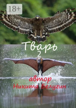 Про дам, аудиокнига Никиты Белугина. ISDN69551491
