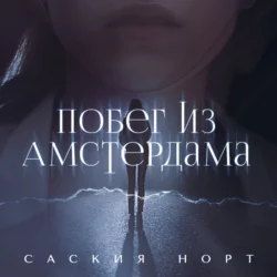 Побег из Амстердама - Саския Норт