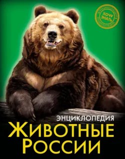 Лошади, аудиокнига . ISDN66473592