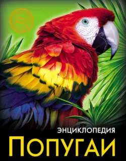 Медведи, аудиокнига . ISDN66473612