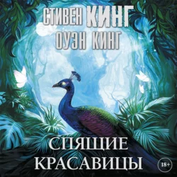 Спящие красавицы - Стивен Кинг Спящие красавицы - Стивен Кинг