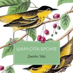 Джейн Эйр, аудиокнига Charlotte Bronte. ISDN6184206