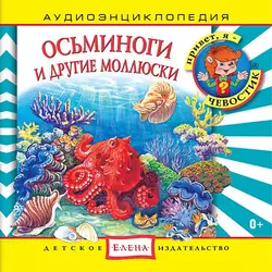 Осьминоги и другие моллюски - Сборник