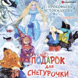 Дорога памяти, аудиокнига Софьи Прокофьевой. ISDN8922810