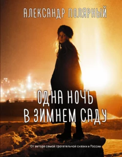 Одна ночь в зимнем саду, Александр Полярный