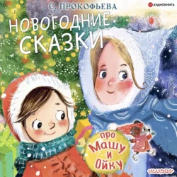 Дорога памяти, аудиокнига Софьи Прокофьевой. ISDN8922810
