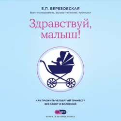 Здравствуй, малыш! Как прожить четвертый триместр без забот и волнений - Елена Березовская