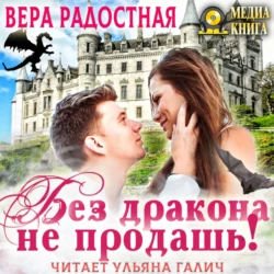 Ваш первый роман. Советы писателя-психолога, аудиокнига Веры Николаевны Радостной. ISDN68715972