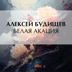 Распря, аудиокнига . ISDN71355007