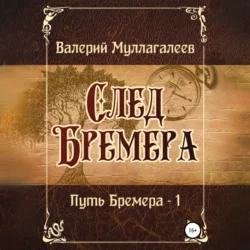 След Бремера Валерий Муллагалеев