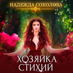 Баронесса из другого мира, аудиокнига Надежды Игоревны Соколовой. ISDN70793011
