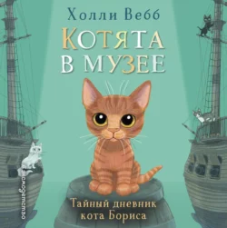 Тайный дневник кота Бориса - Холли Вебб